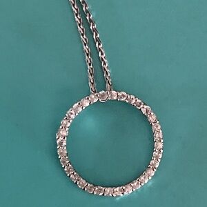 Circle of Life 1/2 Carot Diamond Pendant 22" chain.